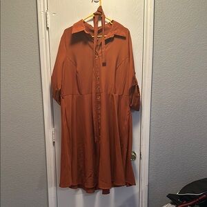 Elegant Rust Dress